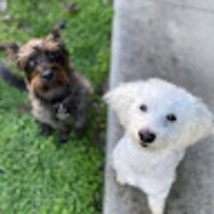 Meet your Posher, James